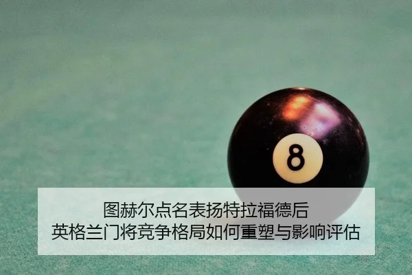 tu-he-er-dian-ming-biao-yang-te-la-fu-de-hou-ying-ge-lan-men-jiang-jing-zheng-ge-ju-ru-he-zhong-su-yu-ying-xiang-ping-gu-2-946.jpg