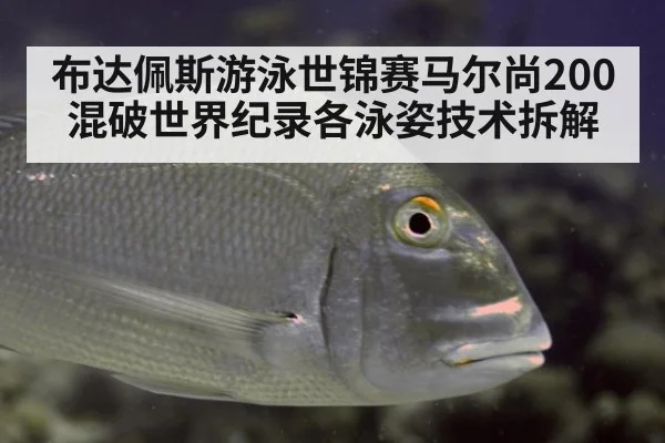 布达佩斯游泳世锦赛马尔尚200混破世界纪录各泳姿技术拆解 | nine game
