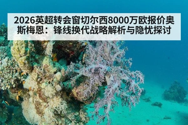 2026英超转会窗切尔西8000万欧报价奥斯梅恩：锋线换代战略解析与隐忧探讨 - nine game