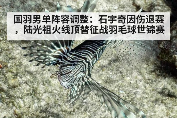 国羽男单阵容调整：石宇奇因伤退赛，陆光祖火线顶替征战羽毛球世锦赛 - nine game