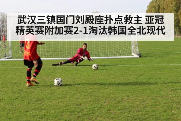 武汉三镇国门刘殿座扑点救主 亚冠精英赛附加赛2-1淘汰韩国全北现代