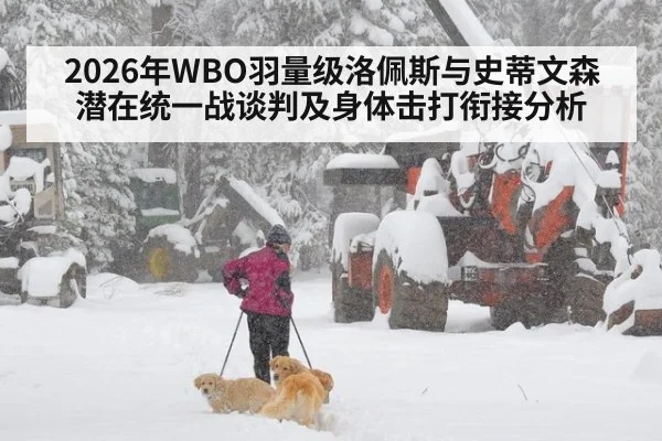 2026年WBO羽量级洛佩斯与史蒂文森潜在统一战谈判及身体击打衔接分析